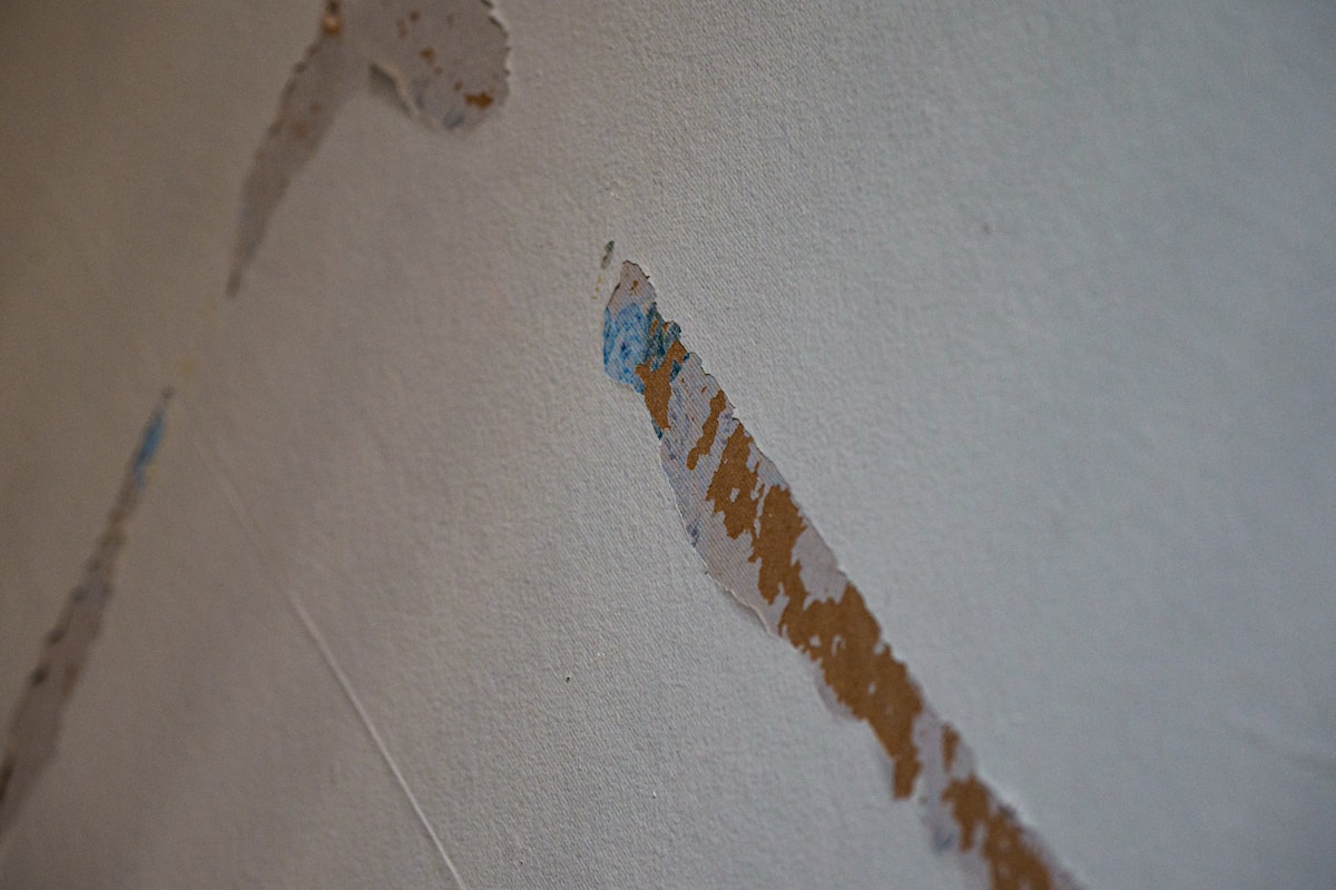 Basement Water Removal service in Wilmington, DE