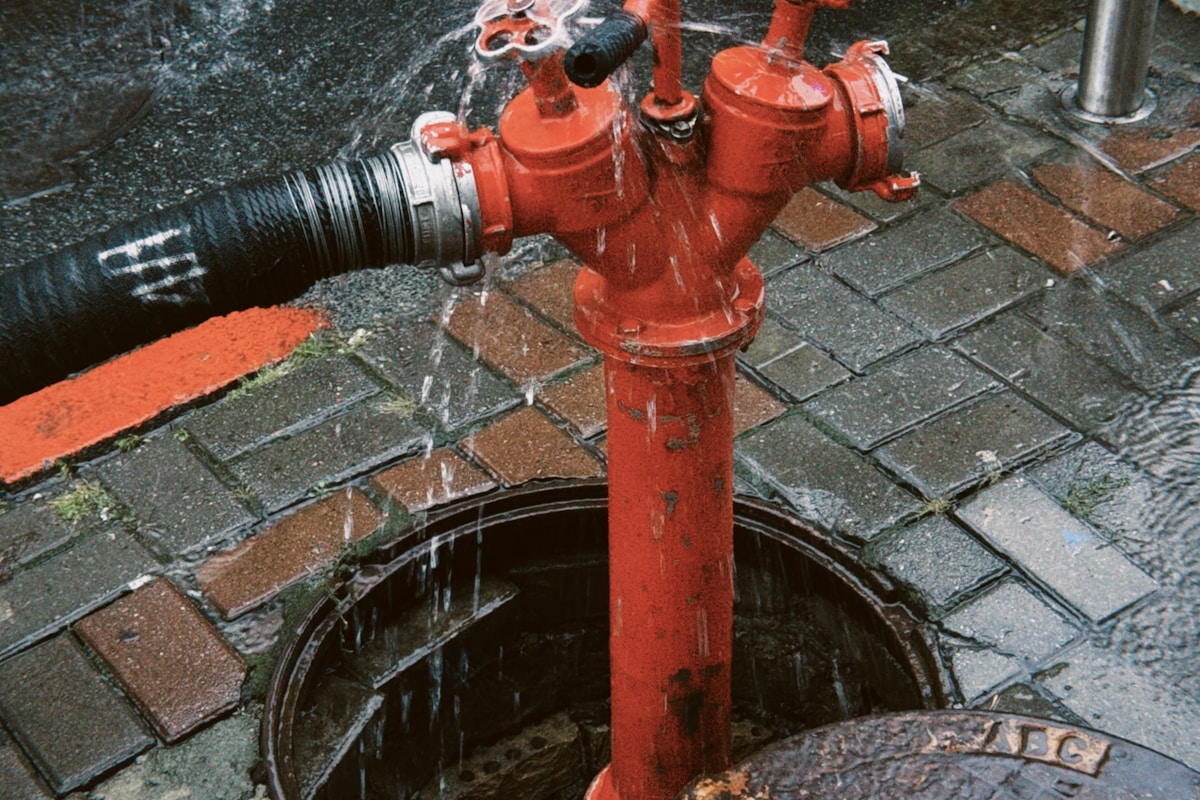 Sewage Cleanup service in Wilmington, DE